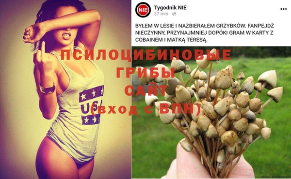 mdpv Михайлов