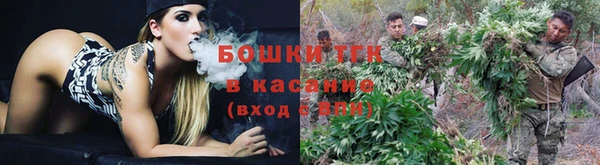 mdpv Михайлов
