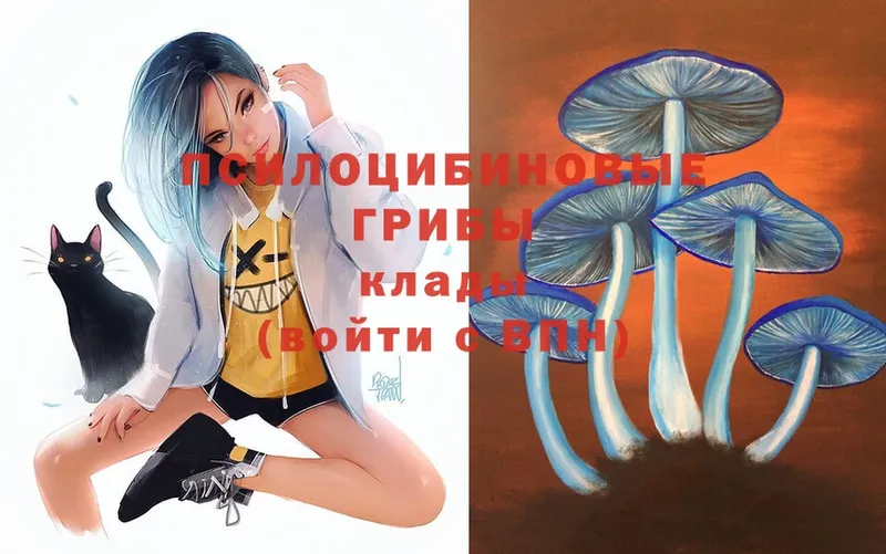 Галлюциногенные грибы Psilocybe  ОМГ ОМГ как зайти  Завитинск 