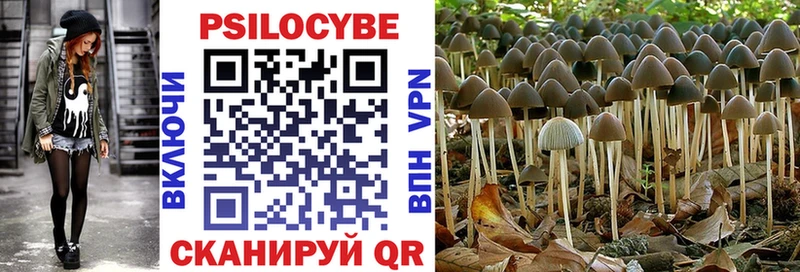 Псилоцибиновые грибы Cubensis  Завитинск 